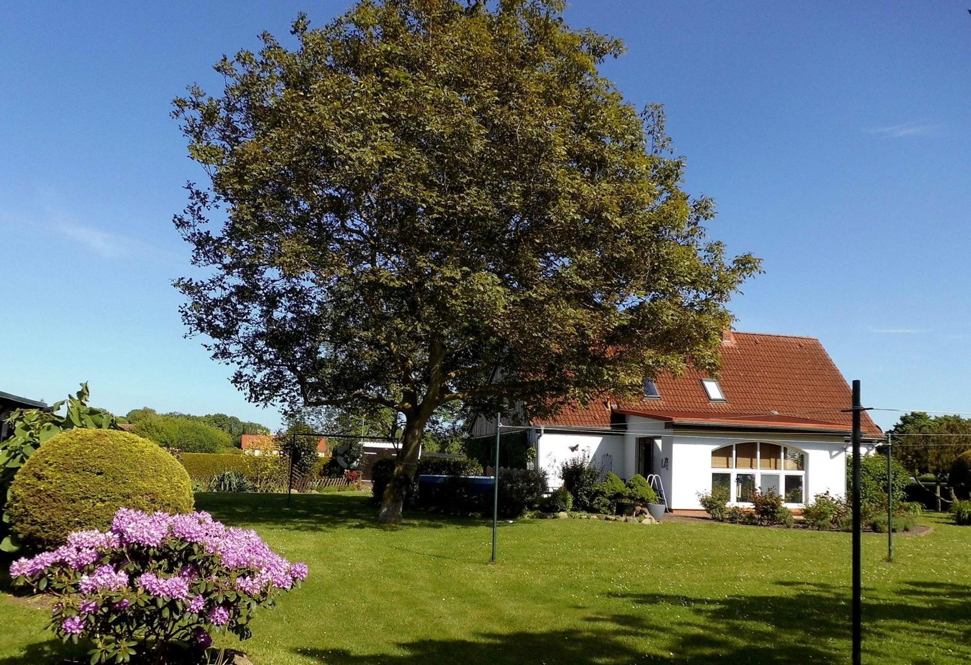 Bungalow Und Ferienwohnung Auf Ruegen Kluis 外观 照片